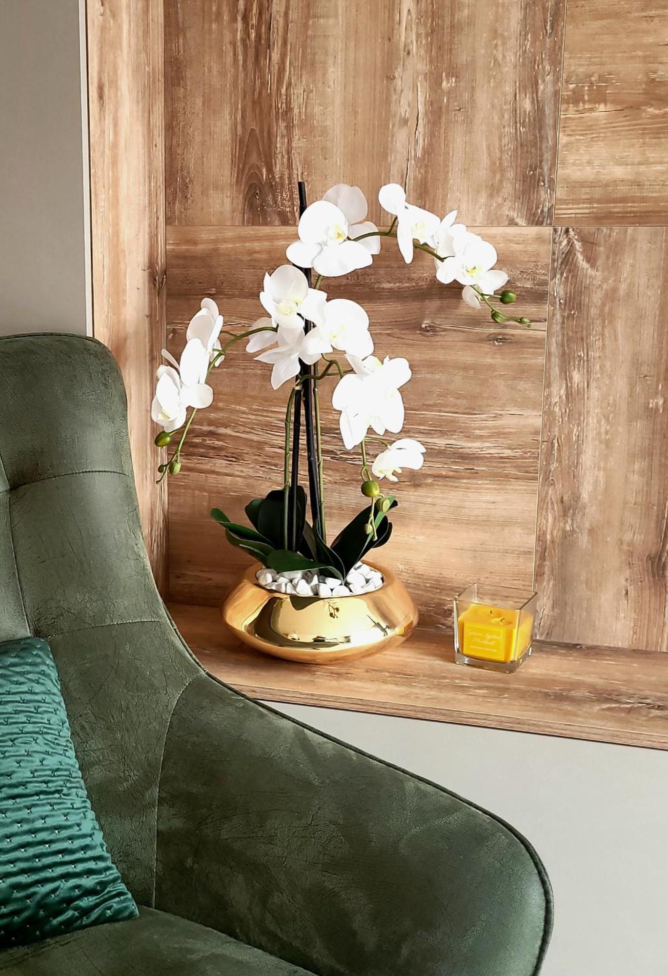 Divchy Dream Apartman Divčibare Kültér fotó
